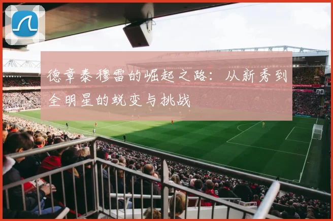 德章泰穆雷的崛起之路：从新秀到全明星的蜕变与挑战