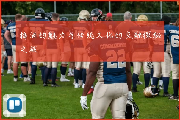 梅酒的魅力与传统文化的交融探秘之旅